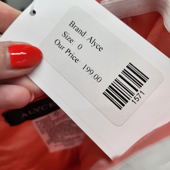 Alyce Paris Formal Dress - Picture 4 of 4